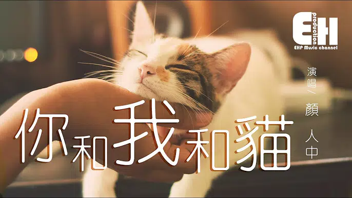颜人中—你和我和猫